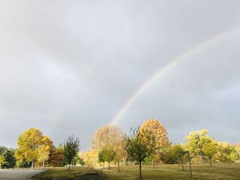 rainbow