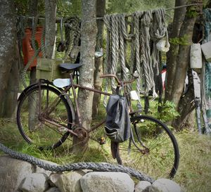 Bicycle parked by tree trunk in forest