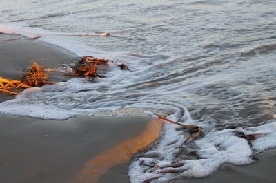 High angle view of sand at beach