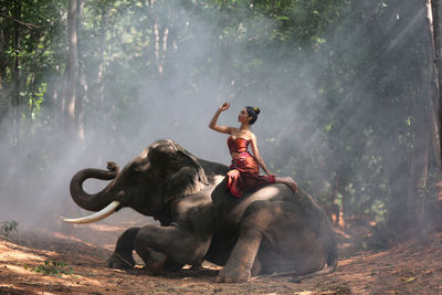 Full length of woman with arms raised sitting on elephant against trees