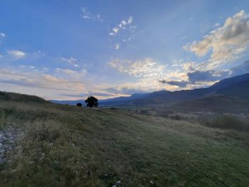 Scenic view of landscape against sky