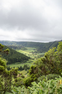 Scenic view of landscape against sky