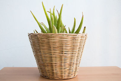 Close-up of potted plant in basket on table against wall