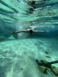 High angle view of turtle swimming in sea