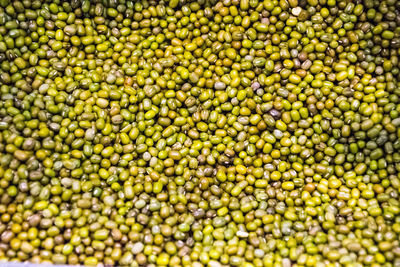 Full frame shot of blueberries