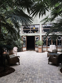 Potted plants on footpath against building