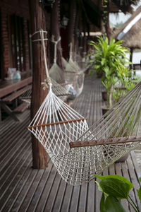 Close-up of potted plants hanging on wood