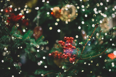 Full frame shot of illuminated christmas tree