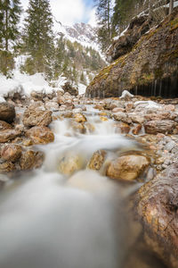 Surface level of stream flowing in forest