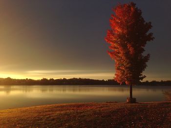 Scenic view of lake at sunset