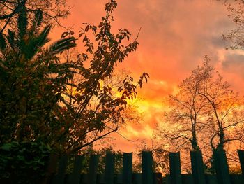 Low angle view of silhouette trees against sky during sunset