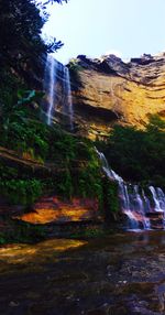 Scenic view of waterfall in forest