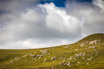 A man on a horse high in the mountains, the village of galiat, north ossetia