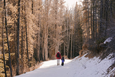 Rear view of people walking in forest