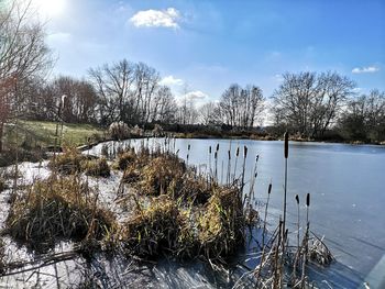 Scenic view of lake against sky during winter