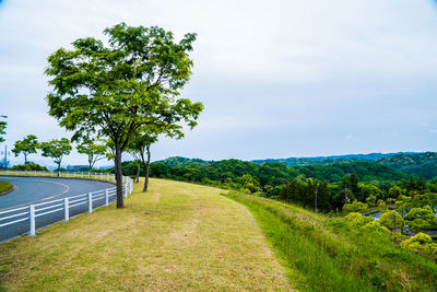 Scenic view of trees on field against sky