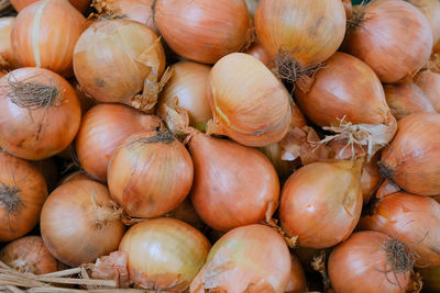 High angle view of pumpkins for sale at market stall