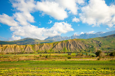 Scenic view of agricultural field against sky