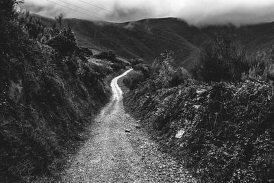 Empty footpath amidst field