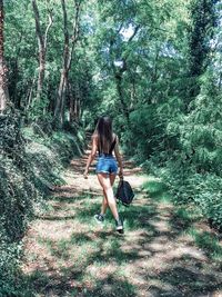 Rear view of woman walking in forest