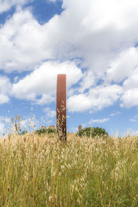 Crops growing on field against sky