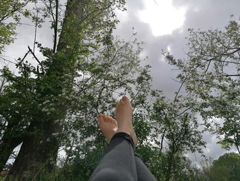 Low section of person against trees against sky