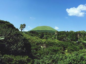 Scenic view of landscape against blue sky