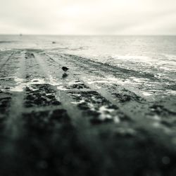 Close-up of beach against sky