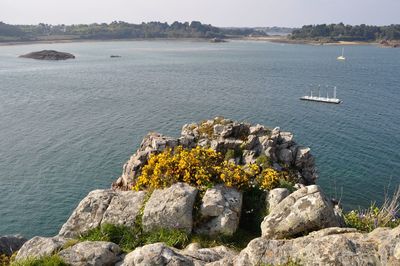 High angle view of rocks by sea