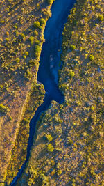 High angle view of tree by river