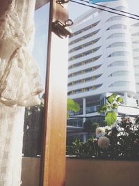 window