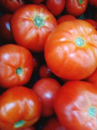 Full frame shot of tomatoes