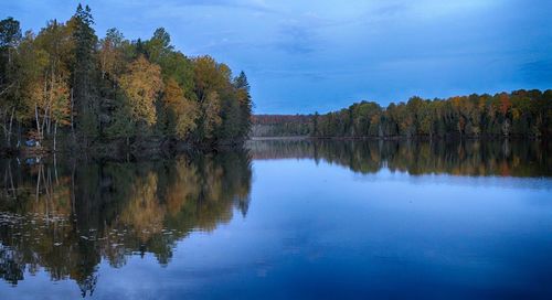 Scenic view of lake in forest against blue sky