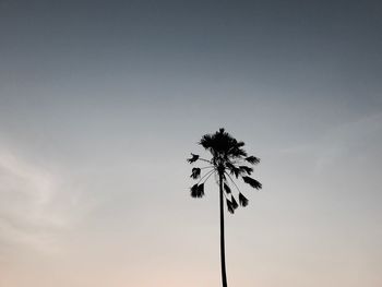 Low angle view of silhouette tree against sky