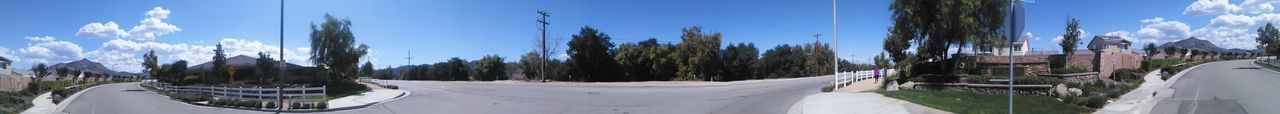 Panoramic view of trees on landscape against blue sky