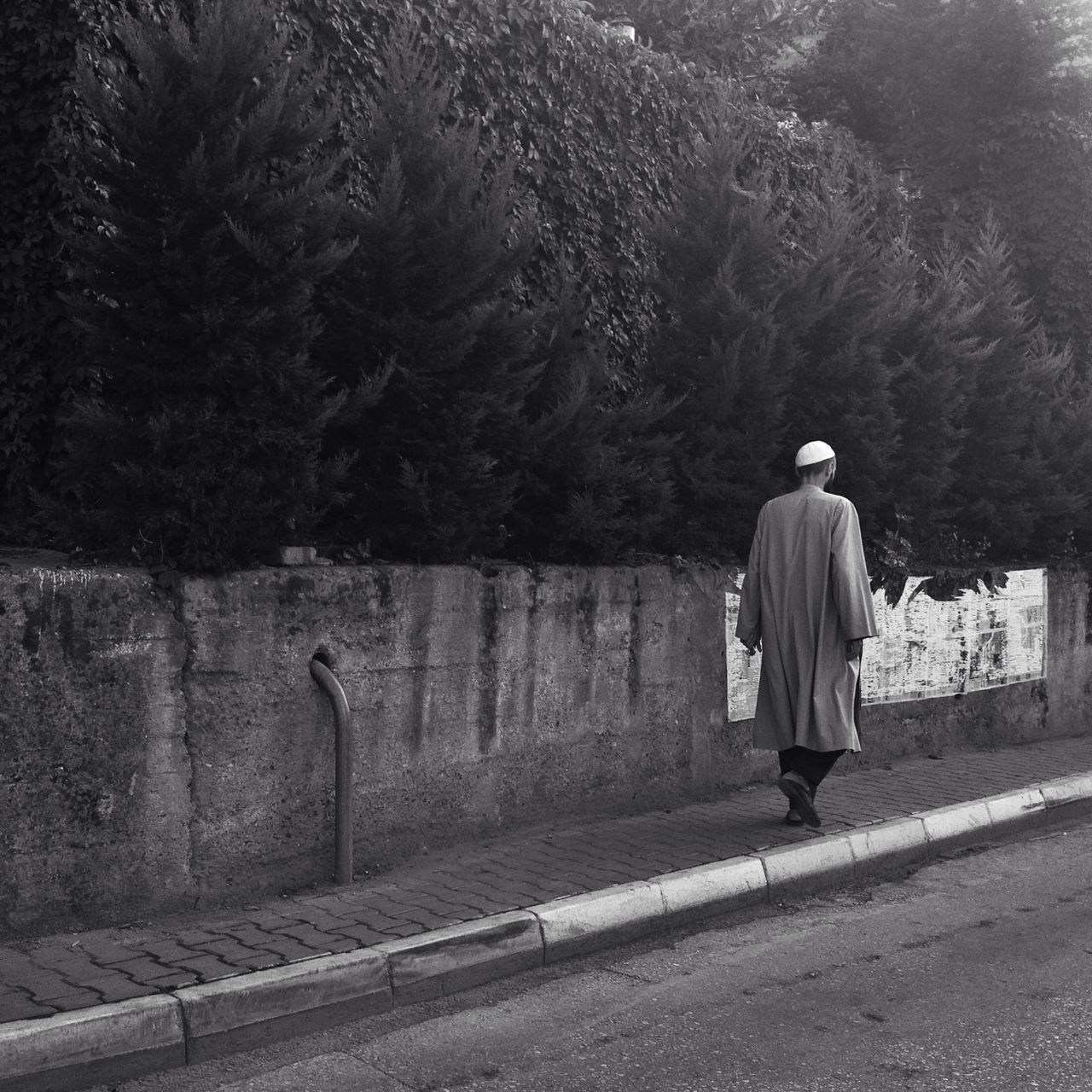 rear view, full length, lifestyles, men, walking, tree, casual clothing, leisure activity, person, standing, the way forward, outdoors, day, nature, footpath, street, road