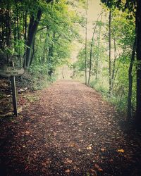 Road amidst trees in forest during autumn