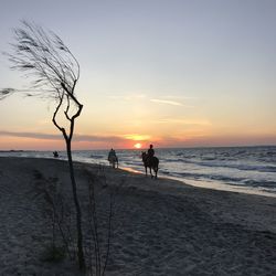 Silhouette people on beach against sky during sunset