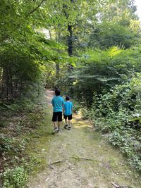 Rear view of man and woman walking in forest