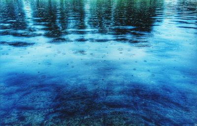 Reflection of trees in water