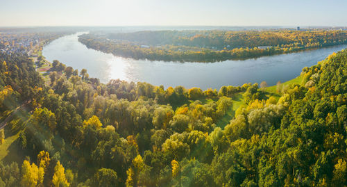 High angle view of trees in forest against sky