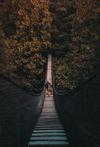 Rear view of people walking on footbridge