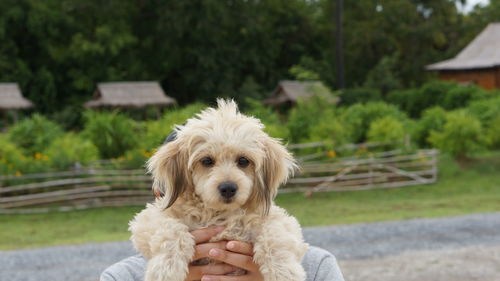 Portrait of man holding dog