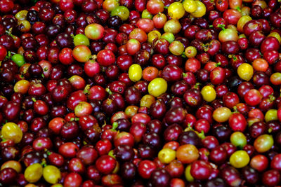 Abstract background raw cherry and red yellow coffee beans
