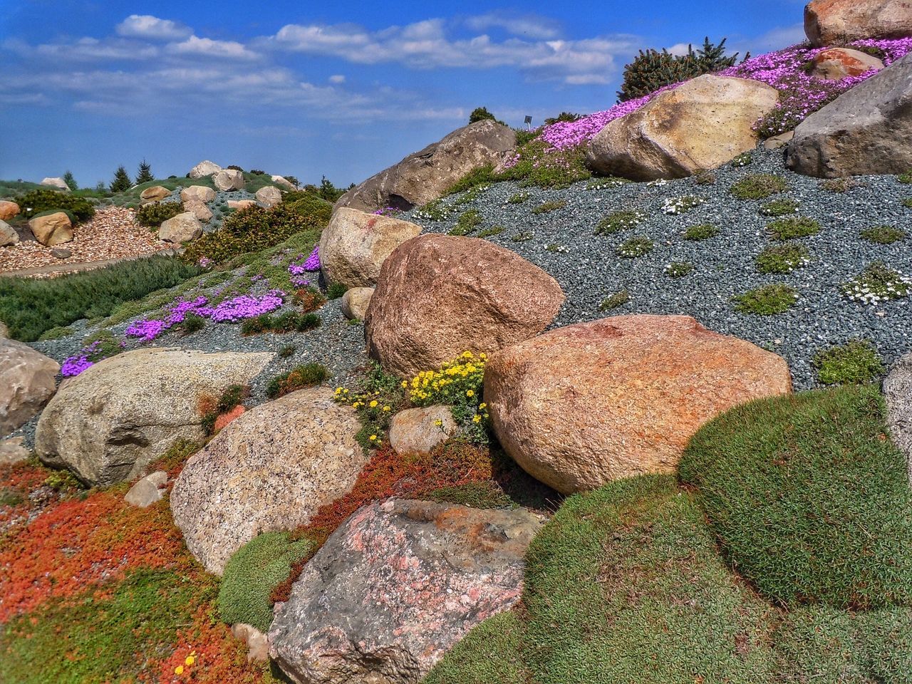 rock - object, sky, plant, stone - object, rock formation, flower, nature, stone wall, beauty in nature, day, tranquility, rock, sunlight, stone, growth, tranquil scene, outdoors, no people, blue, built structure