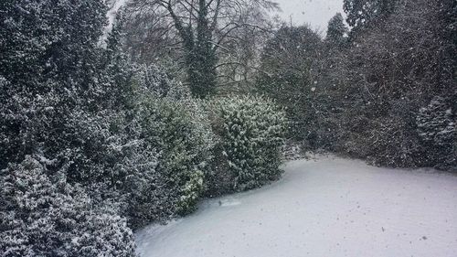 View of snow covered land