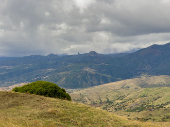environment