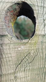 Full frame shot of wood