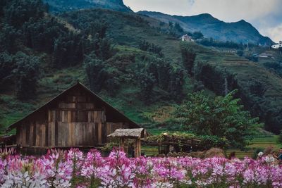 View of trees on landscape against sky
