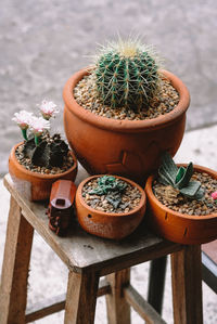 High angle view of potted plants on table